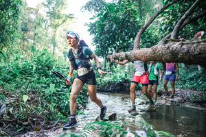 BIB: 
                            <button type="button" onclick="openModal(25432917)" class="btn btn-primary btn-sm float-right btn-popup" data-toggle="modal" data-target=".modal-high-quality">
                        <i class="fas fa-shopping-cart"></i> Add to Cart
                    </button>
                                            <button type="button" onclick="isThisMe(25432917, true)" class="btn btn-success btn-sm float-right btn-popup btn-isme hidden" data-toggle="tooltip" data-placement="bottom" title="นี่คือรูปของคุณใช่ไหม คลิกที่นี่เพื่อเอาเข้าอัลบั้ม">
                        <i class="fas fa-plus"></i> Add to album
                    </button>
                    <button type="button" onclick="isThisMe(25432917, false)" class="btn btn-warning btn-sm float-right btn-popup btn-isnotme hidden">
                        <i class="fas fa-ban"></i> Remove from album
                    </button>